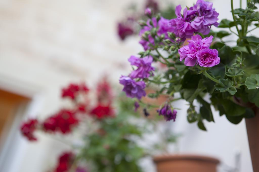 19Venti Bed & Breakfast Lecce Ngoại thất bức ảnh