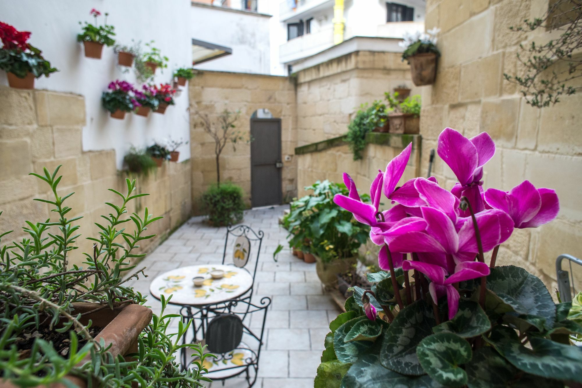 19Venti Bed & Breakfast Lecce Ngoại thất bức ảnh
